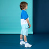 Turquoise Hamish Shorts