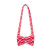 Red Laura Bag